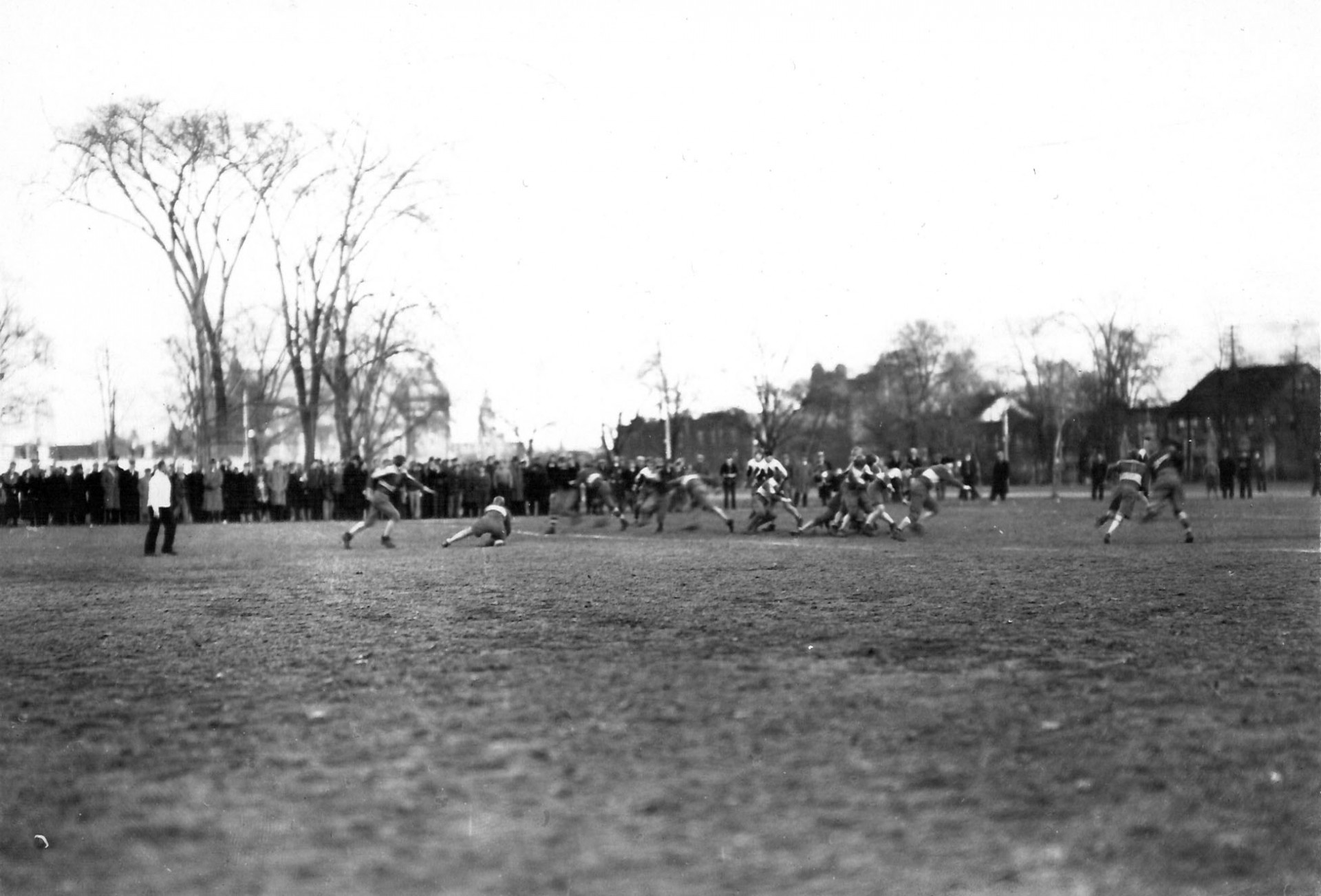 Nature and Park History - Friends of Trinity Bellwoods Park