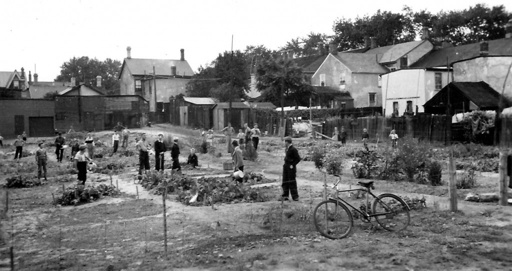 The community garden with a bike.