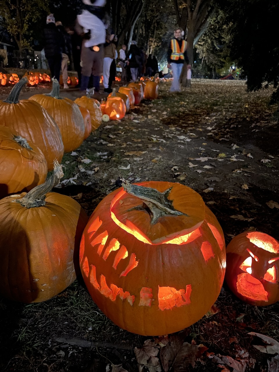 Pumpkin Parade in the park! - Friends of Trinity Bellwoods Park