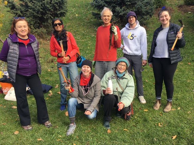Trinity Bellwoods Park Stewardship